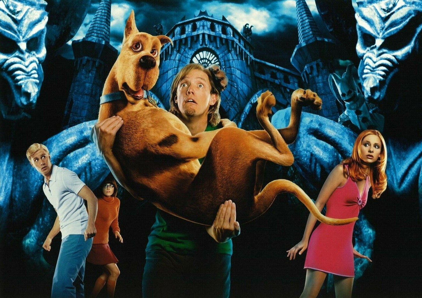 Personally Autographed 8" × 10" Photo Print by Neil Fanning 🐾 No. 6